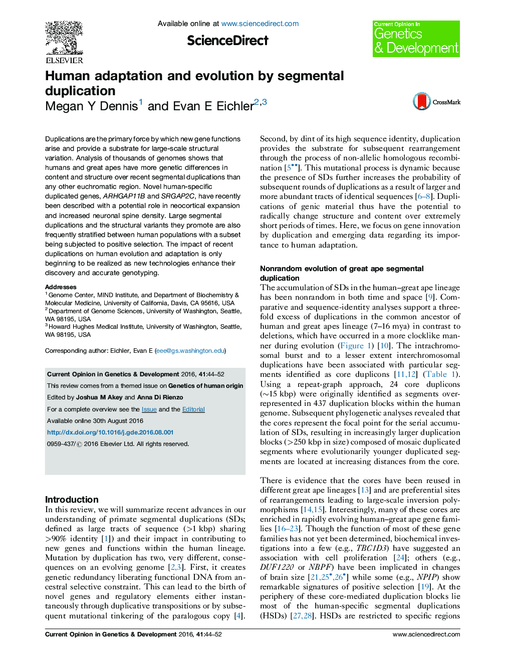 Human adaptation and evolution by segmental duplication