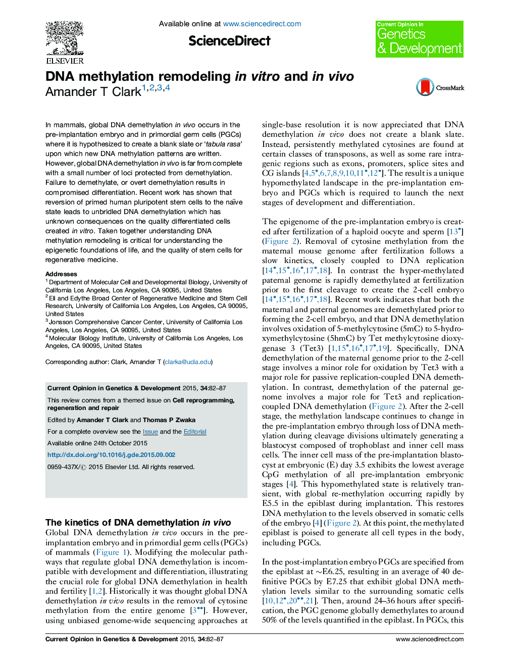 DNA methylation remodeling in vitro and in vivo