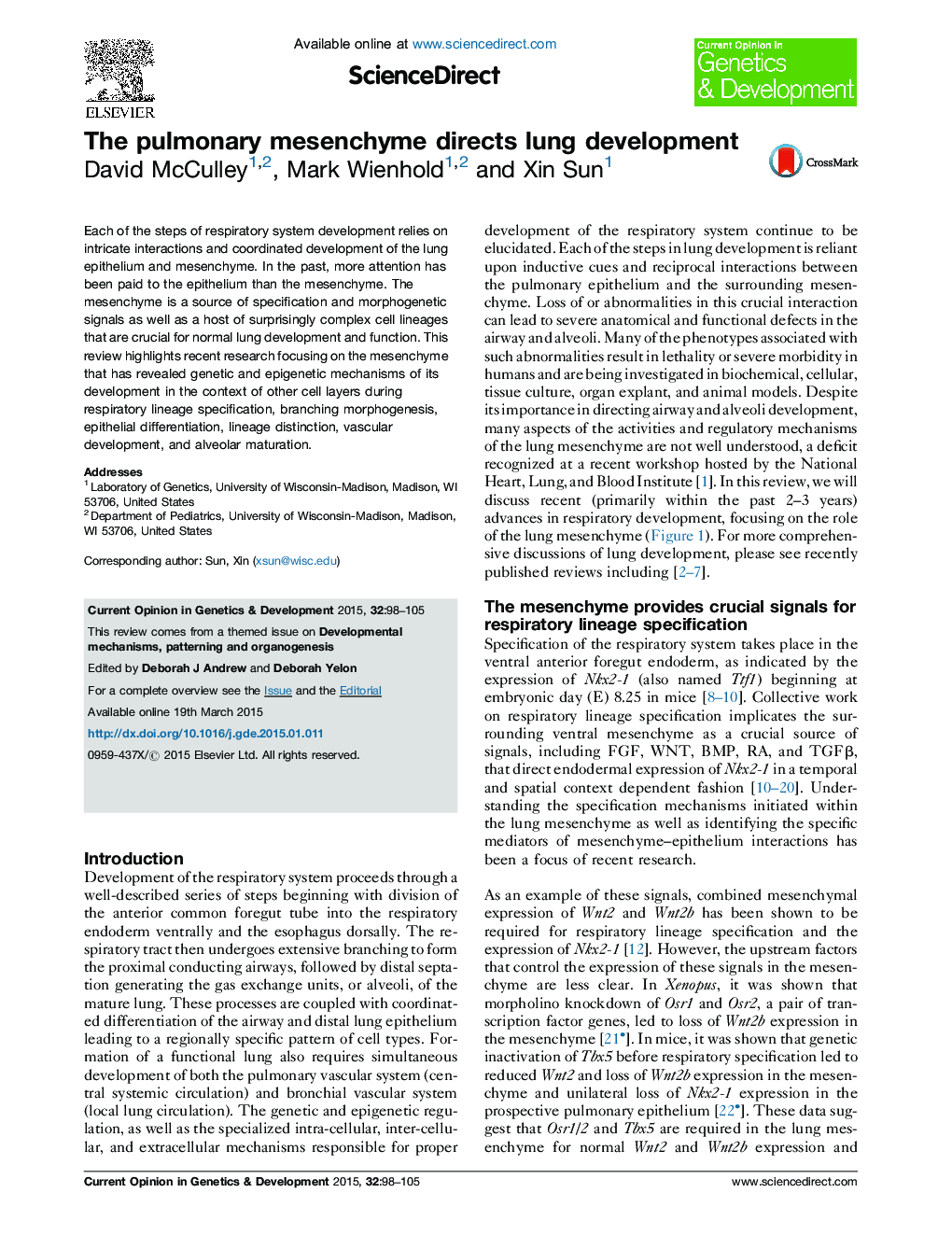 The pulmonary mesenchyme directs lung development