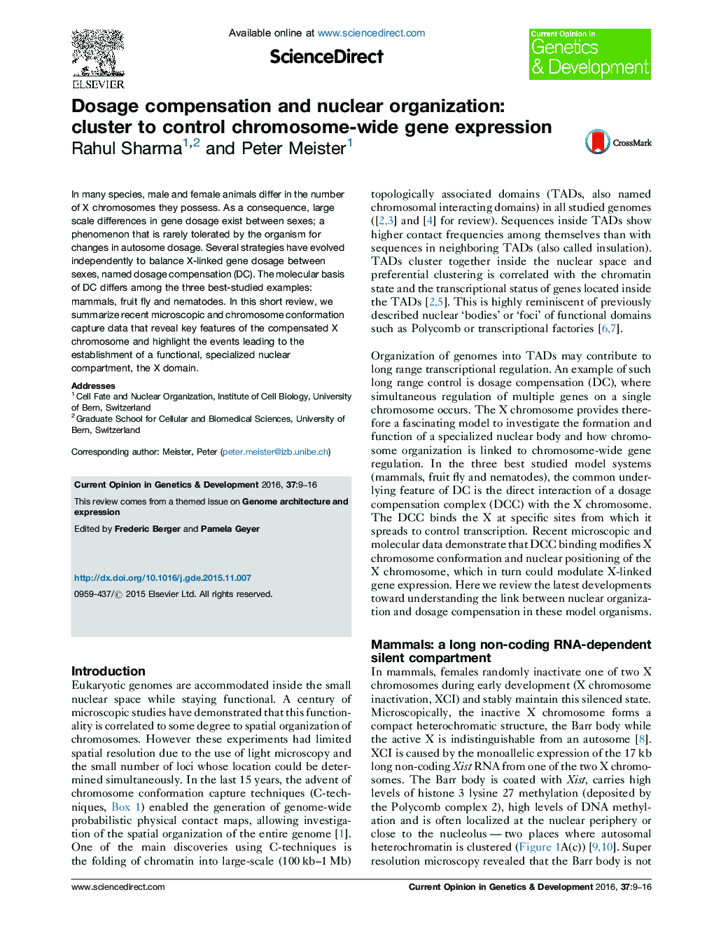 Dosage compensation and nuclear organization: cluster to control chromosome-wide gene expression