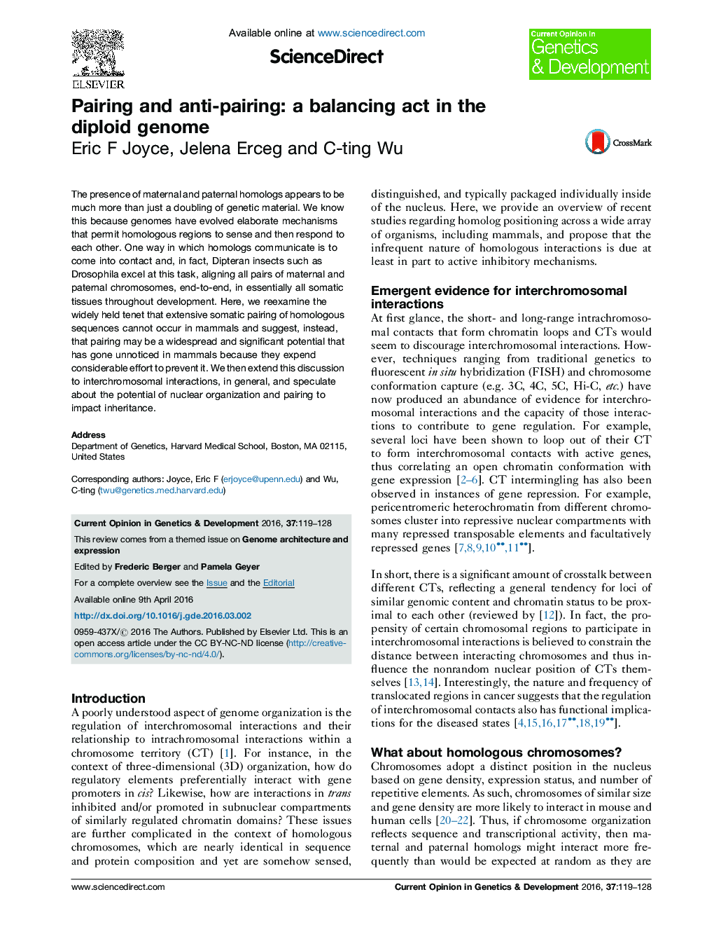 Pairing and anti-pairing: a balancing act in the diploid genome