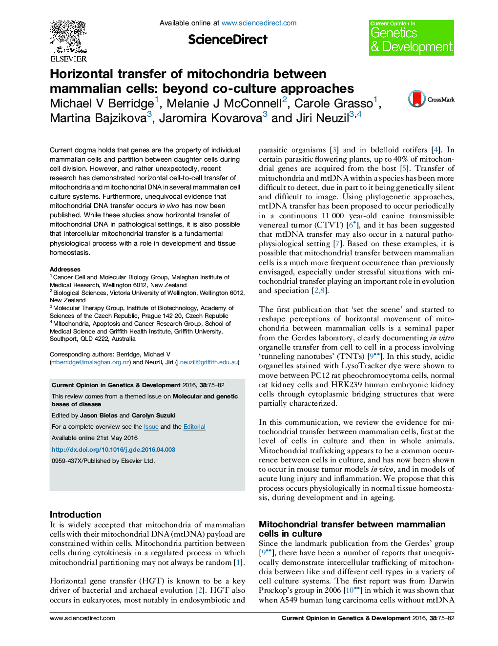 Horizontal transfer of mitochondria between mammalian cells: beyond co-culture approaches