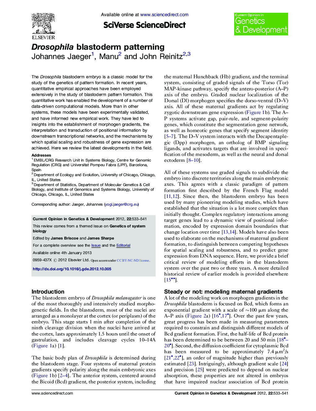 Drosophila blastoderm patterning