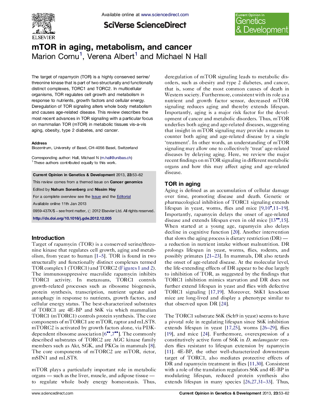 mTOR in aging, metabolism, and cancer
