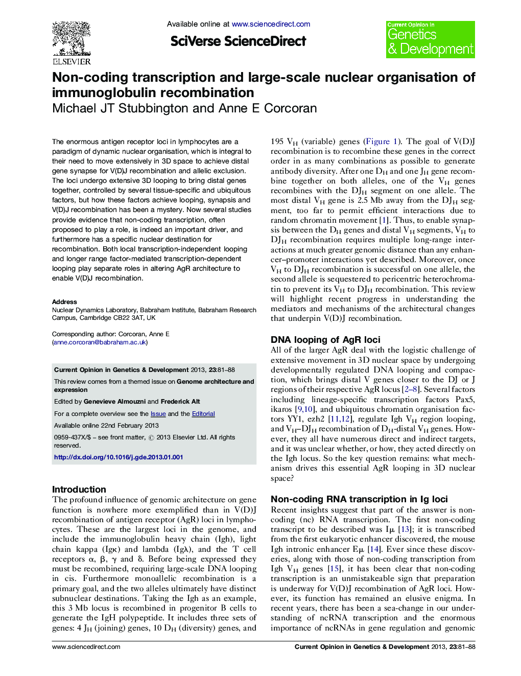 Non-coding transcription and large-scale nuclear organisation of immunoglobulin recombination