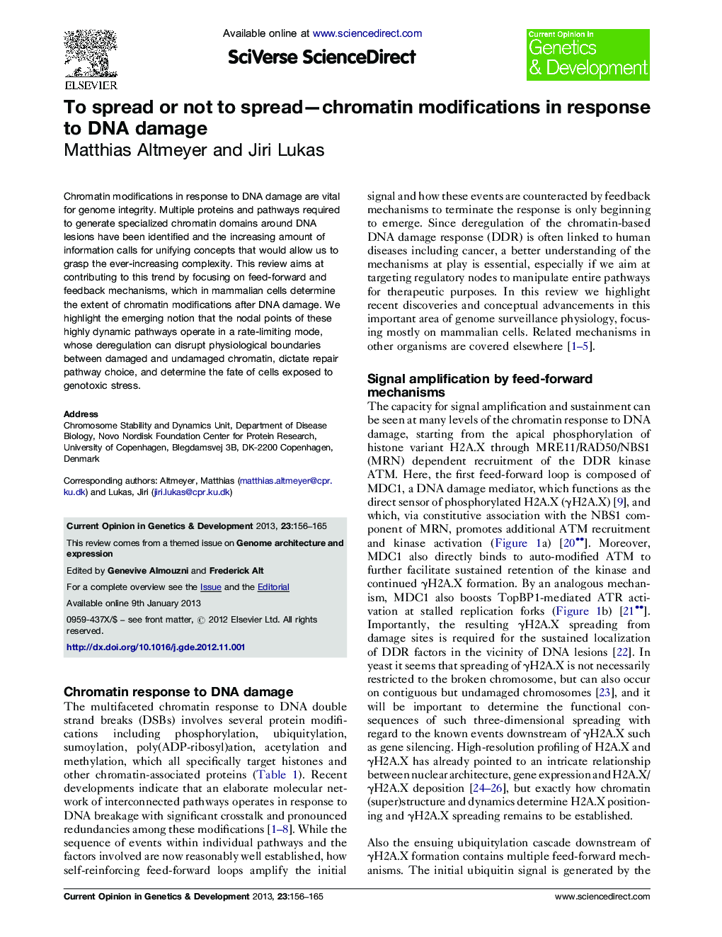 To spread or not to spread-chromatin modifications in response to DNA damage