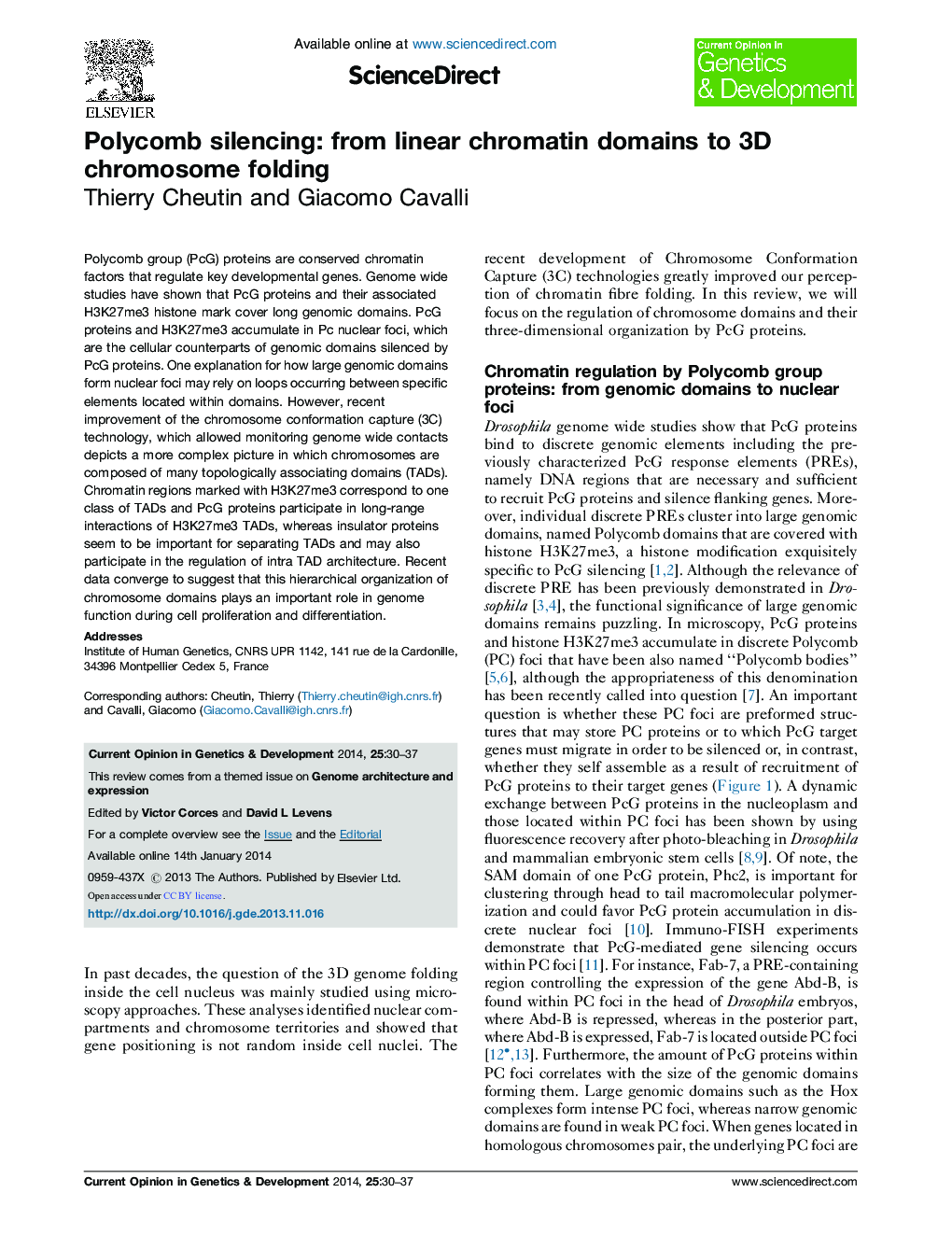 Polycomb silencing: from linear chromatin domains to 3D chromosome folding