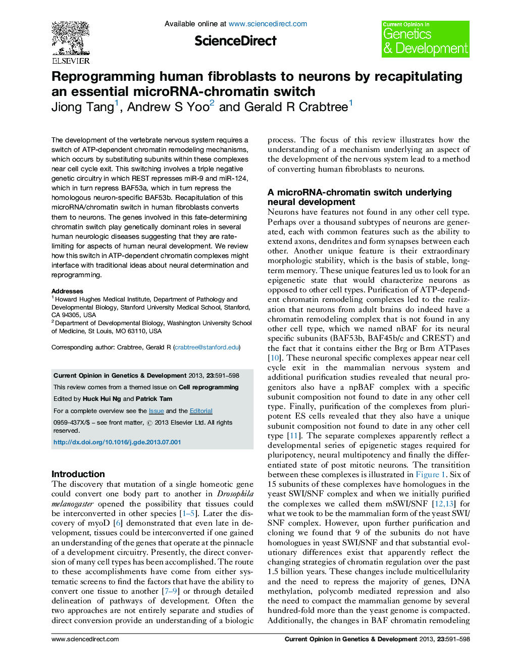 Reprogramming human fibroblasts to neurons by recapitulating an essential microRNA-chromatin switch