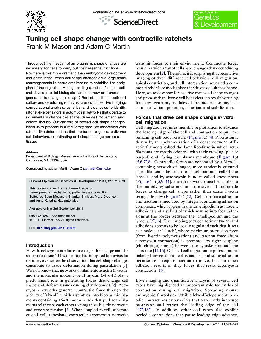 Tuning cell shape change with contractile ratchets
