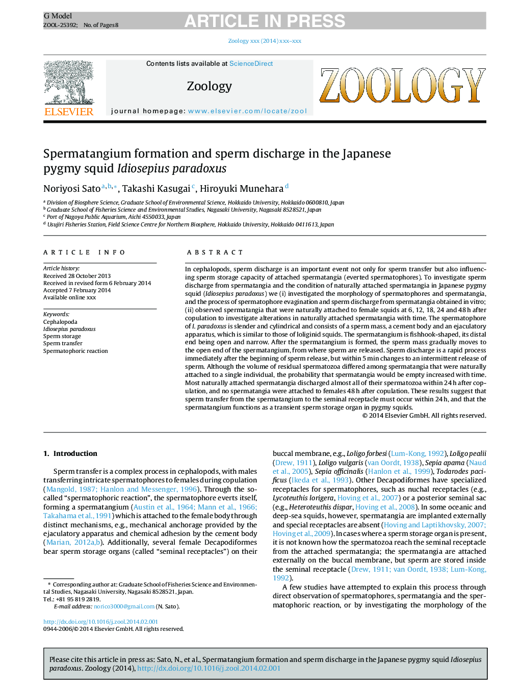 Spermatangium formation and sperm discharge in the Japanese pygmy squid Idiosepius paradoxus