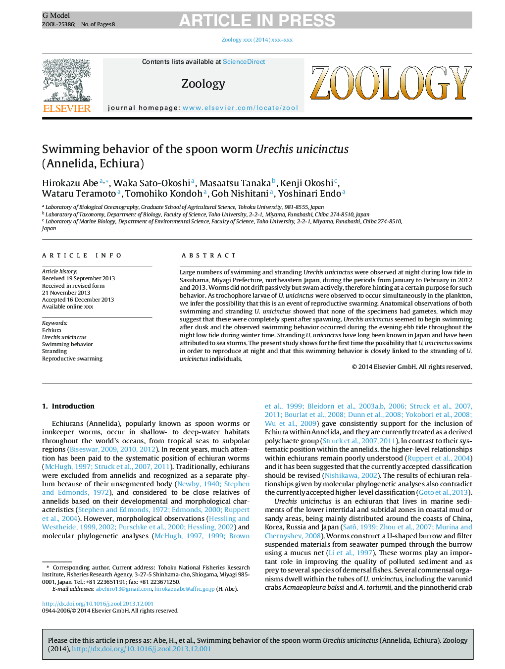 Swimming behavior of the spoon worm Urechis unicinctus (Annelida, Echiura)