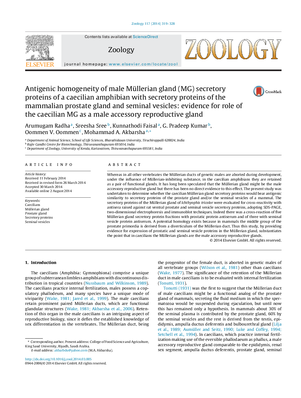 Antigenic homogeneity of male Müllerian gland (MG) secretory proteins of a caecilian amphibian with secretory proteins of the mammalian prostate gland and seminal vesicles: evidence for role of the caecilian MG as a male accessory reproductive gland