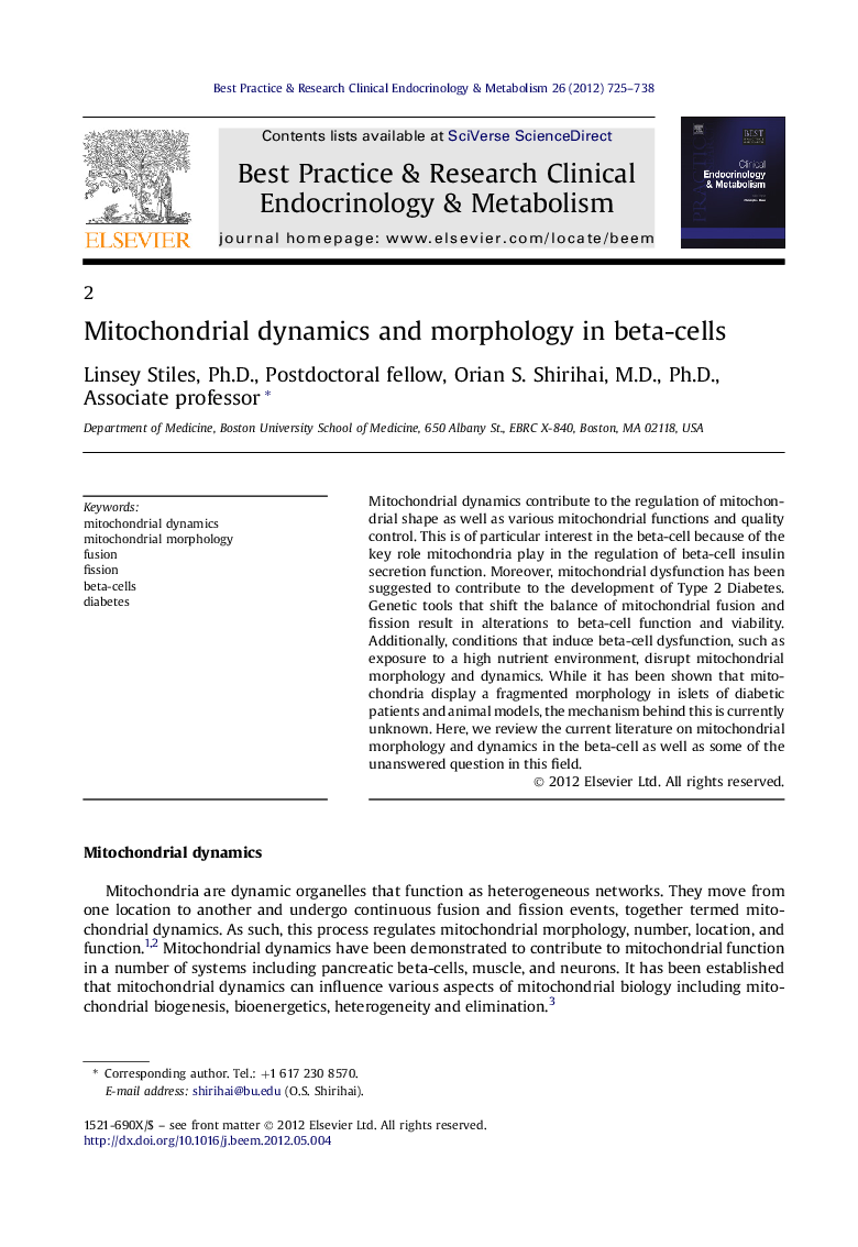 Mitochondrial dynamics and morphology in beta-cells