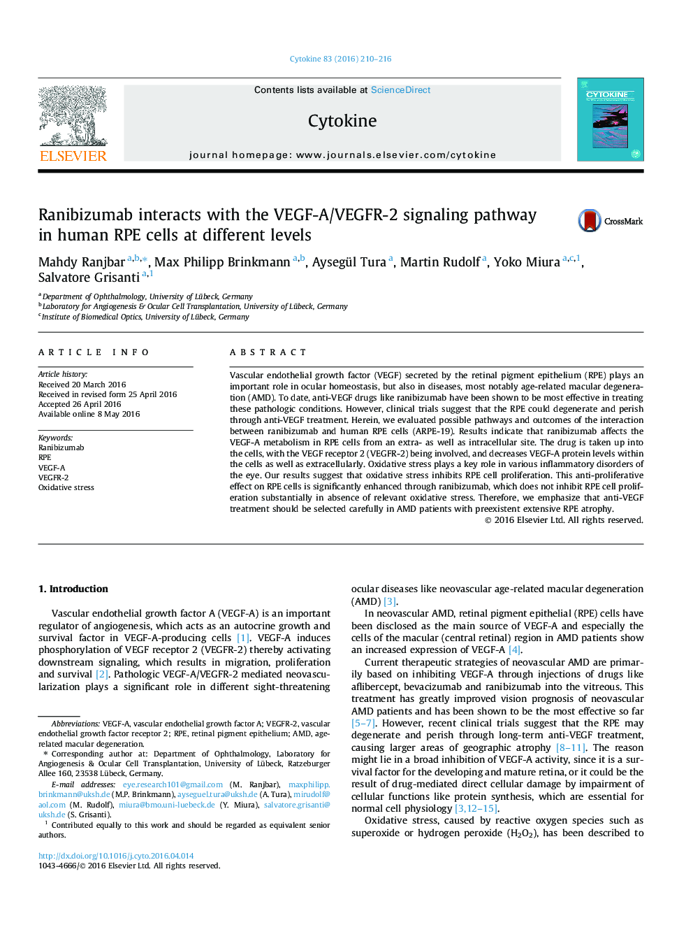 Ranibizumab interacts with the VEGF-A/VEGFR-2 signaling pathway in human RPE cells at different levels