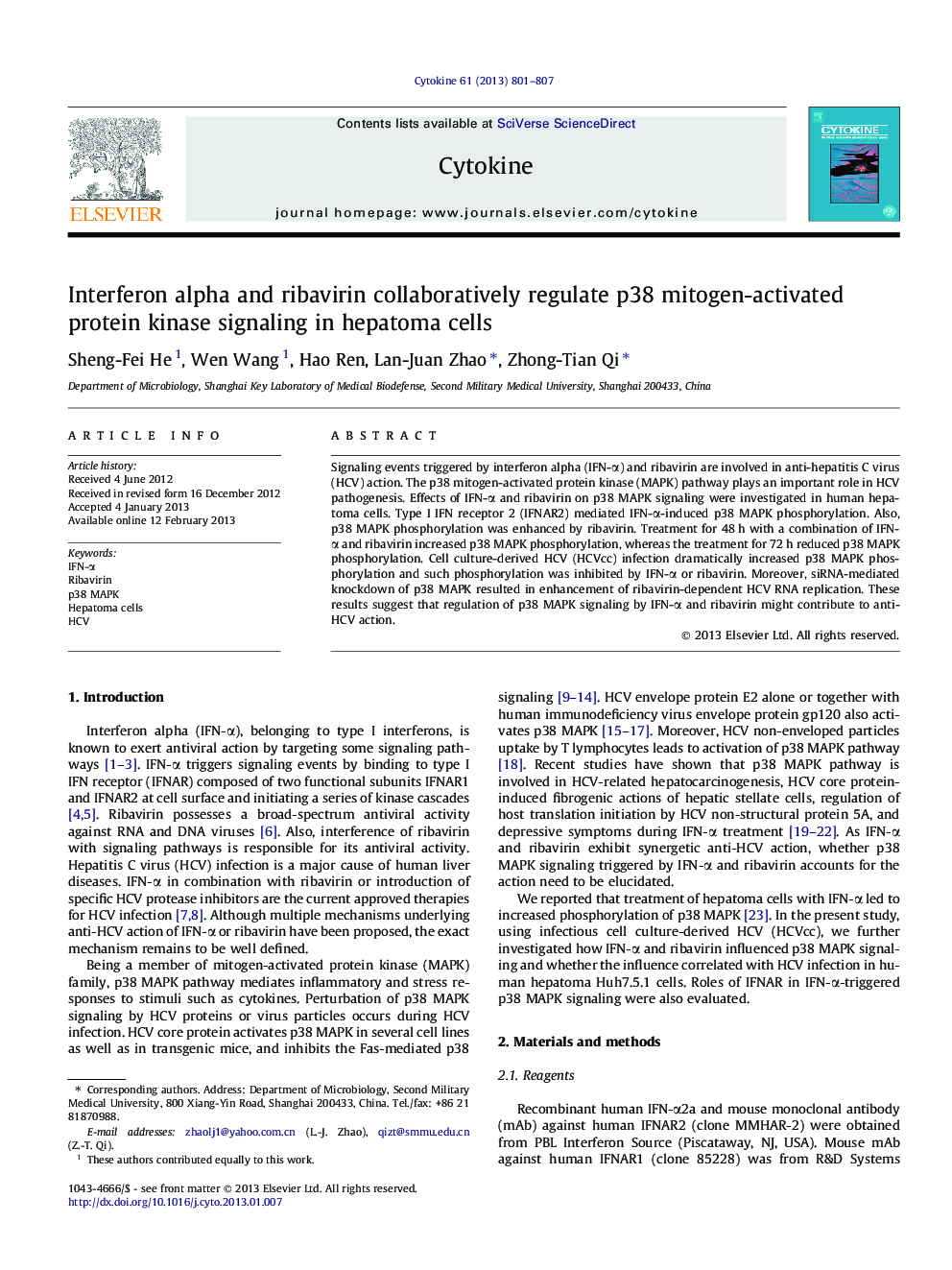 Interferon alpha and ribavirin collaboratively regulate p38 mitogen-activated protein kinase signaling in hepatoma cells