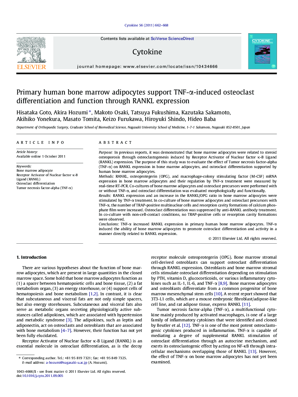 Primary human bone marrow adipocytes support TNF-Î±-induced osteoclast differentiation and function through RANKL expression