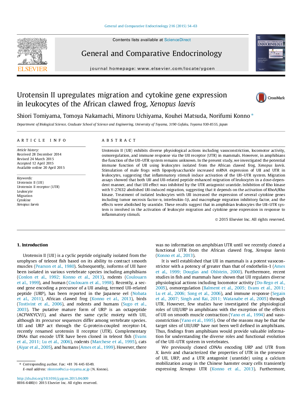 Urotensin II upregulates migration and cytokine gene expression in leukocytes of the African clawed frog, Xenopus laevis