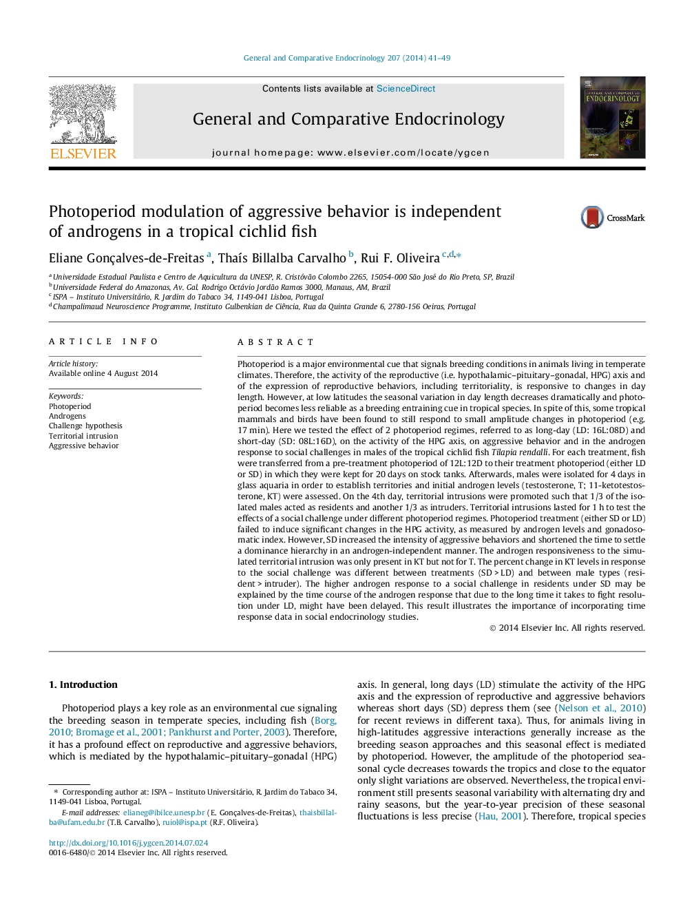 Photoperiod modulation of aggressive behavior is independent of androgens in a tropical cichlid fish