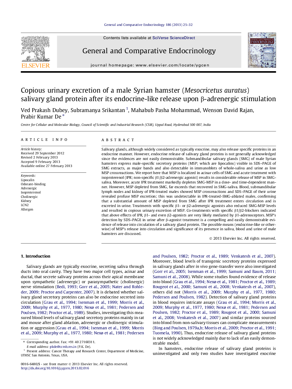 Copious urinary excretion of a male Syrian hamster (Mesocricetus auratus) salivary gland protein after its endocrine-like release upon Î²-adrenergic stimulation