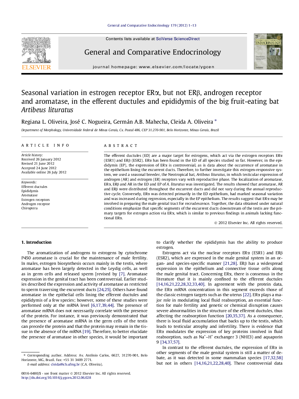 Seasonal variation in estrogen receptor ERÎ±, but not ERÎ², androgen receptor and aromatase, in the efferent ductules and epididymis of the big fruit-eating bat Artibeus lituratus