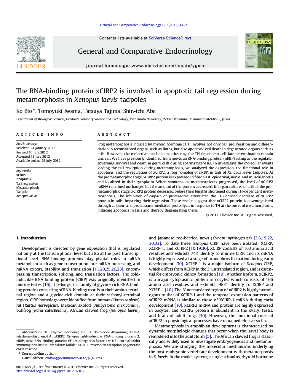 The RNA-binding protein xCIRP2 is involved in apoptotic tail regression during metamorphosis in Xenopus laevis tadpoles