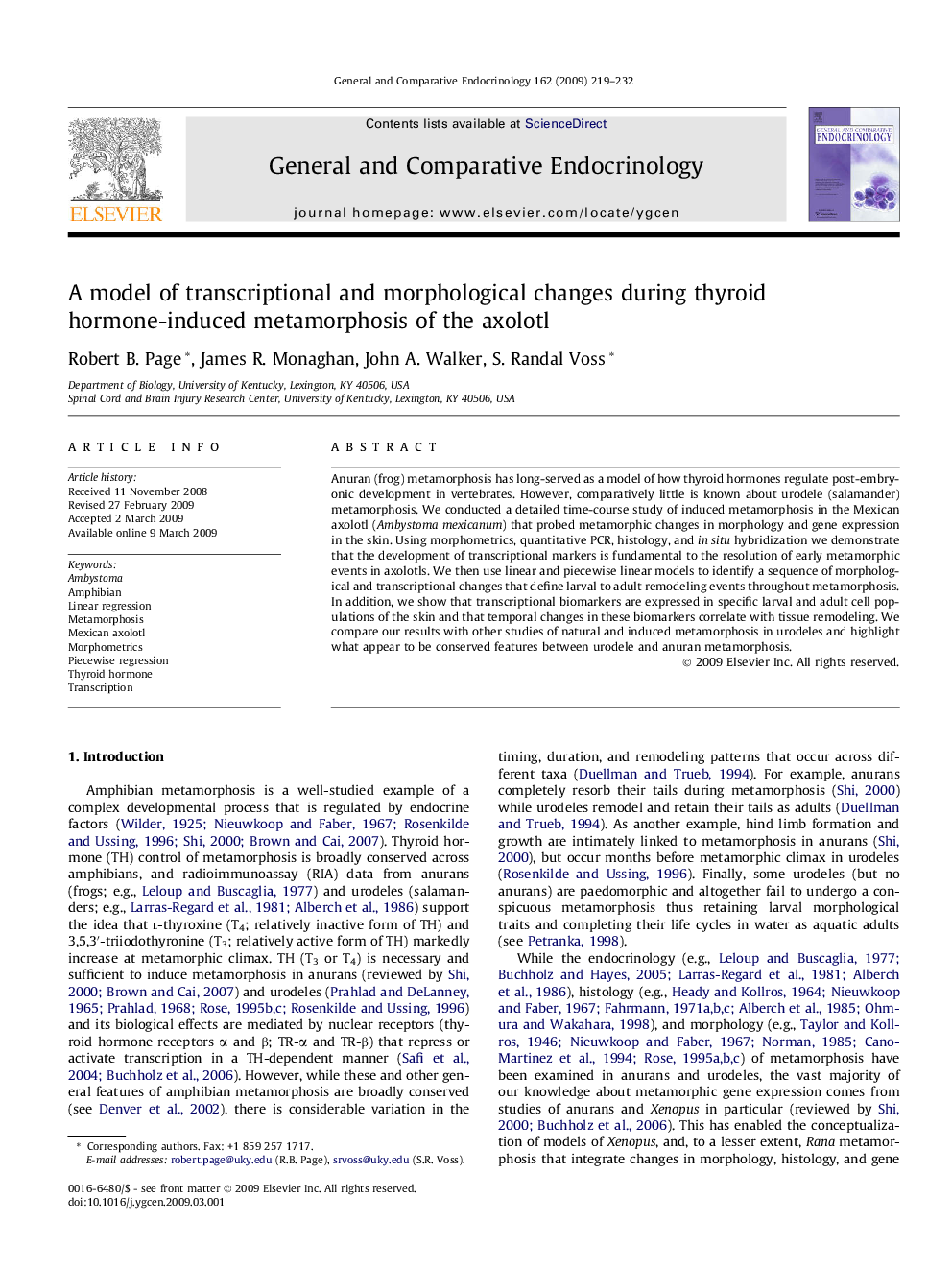 A model of transcriptional and morphological changes during thyroid hormone-induced metamorphosis of the axolotl