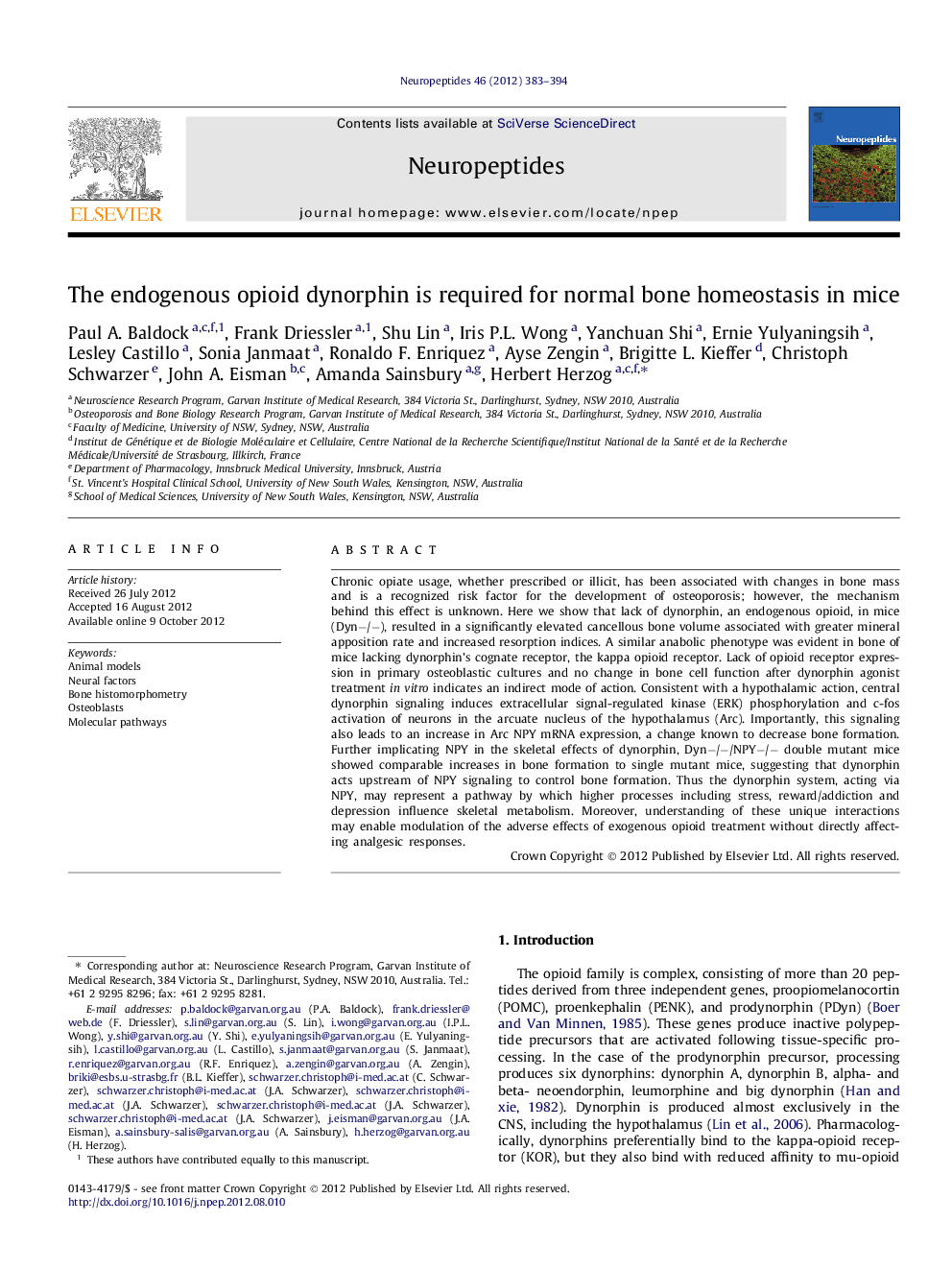 The endogenous opioid dynorphin is required for normal bone homeostasis in mice