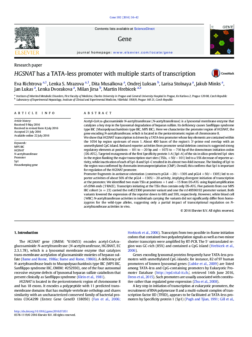 HGSNAT has a TATA-less promoter with multiple starts of transcription