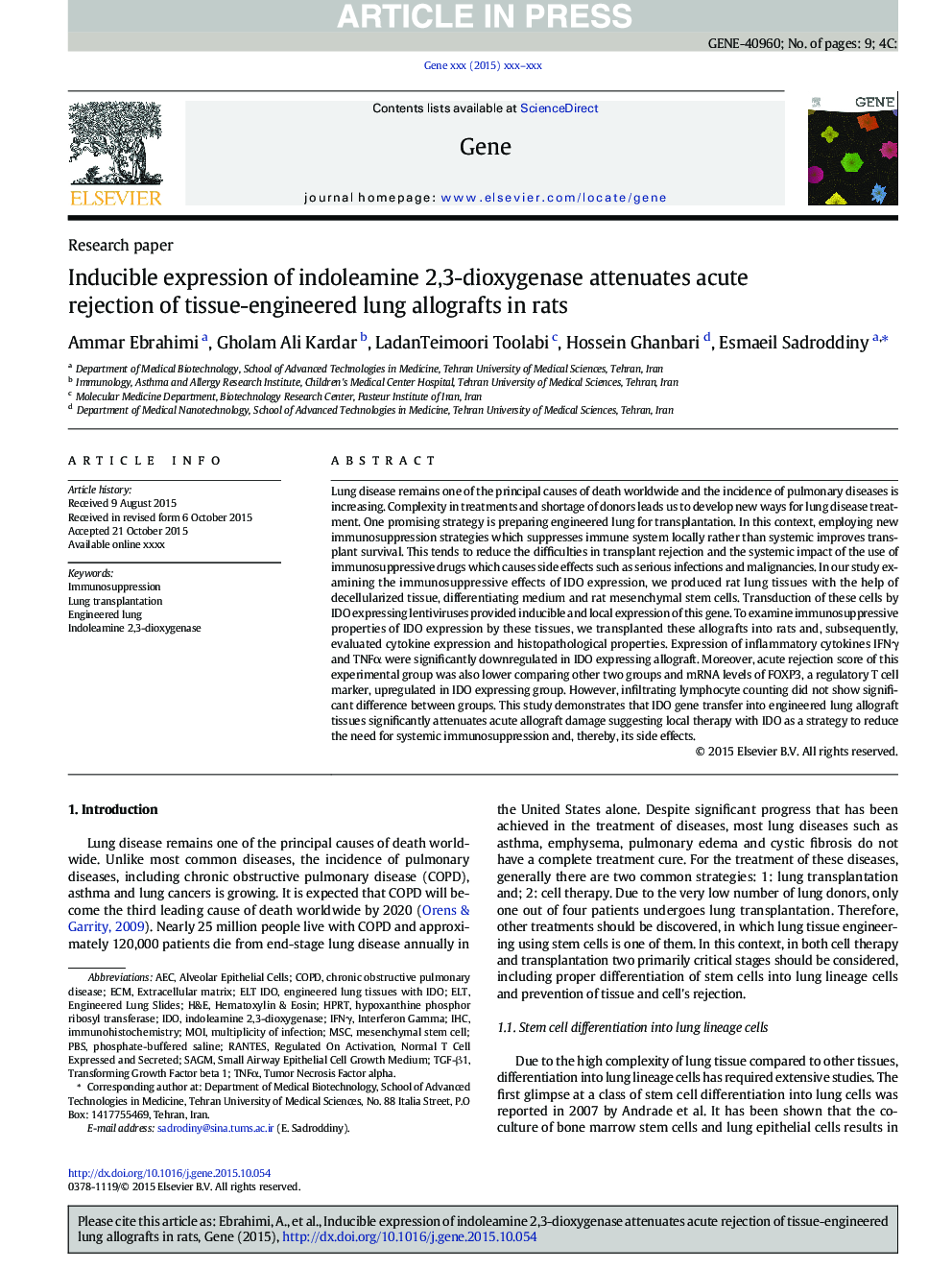 Inducible expression of indoleamine 2,3-dioxygenase attenuates acute rejection of tissue-engineered lung allografts in rats