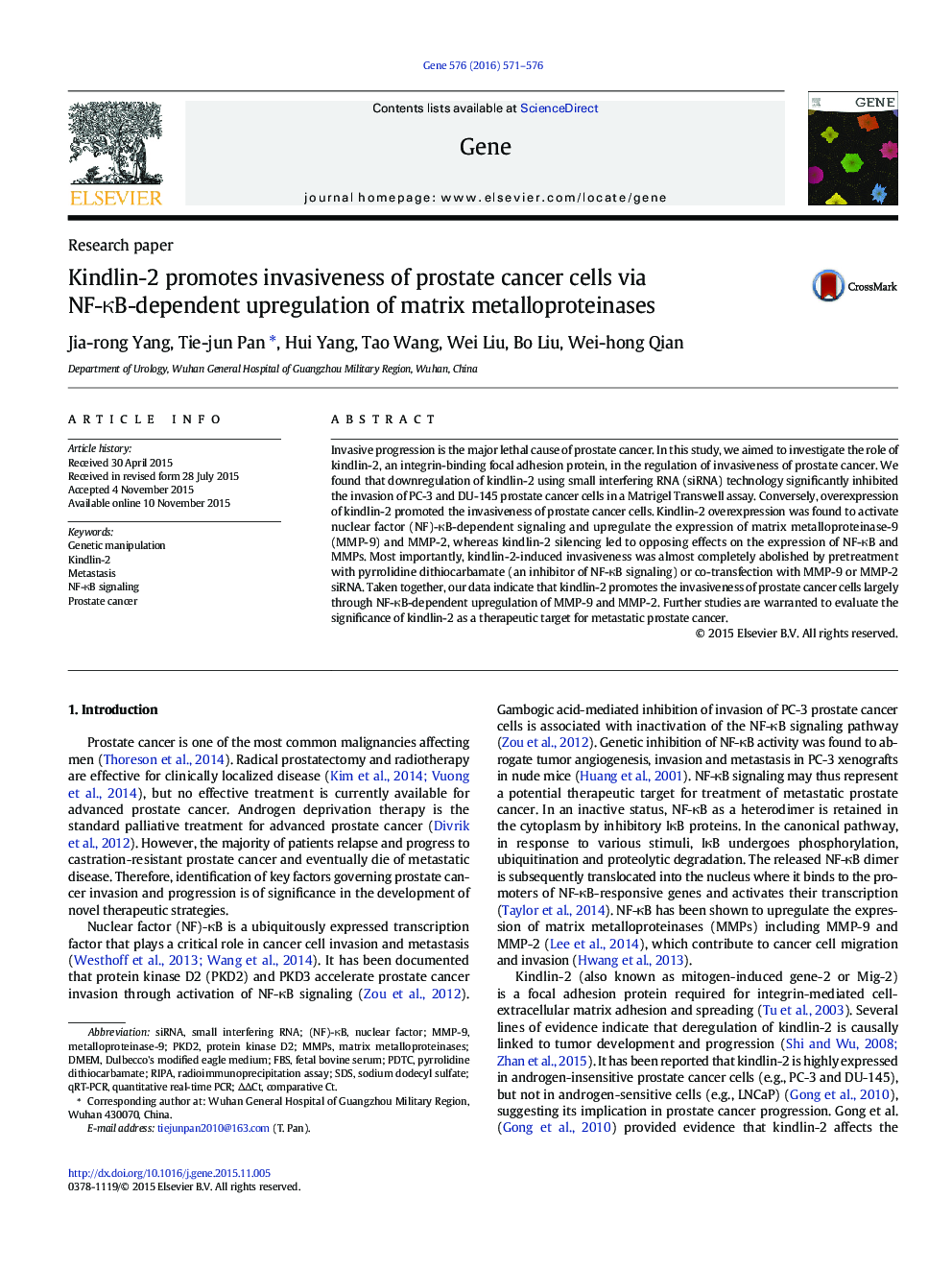 Research paperKindlin-2 promotes invasiveness of prostate cancer cells via NF-ÎºB-dependent upregulation of matrix metalloproteinases