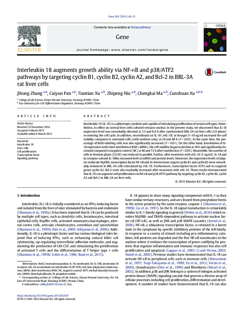 Interleukin 18 augments growth ability via NF-ÎºB and p38/ATF2 pathways by targeting cyclin B1, cyclin B2, cyclin A2, and Bcl-2 in BRL-3A rat liver cells