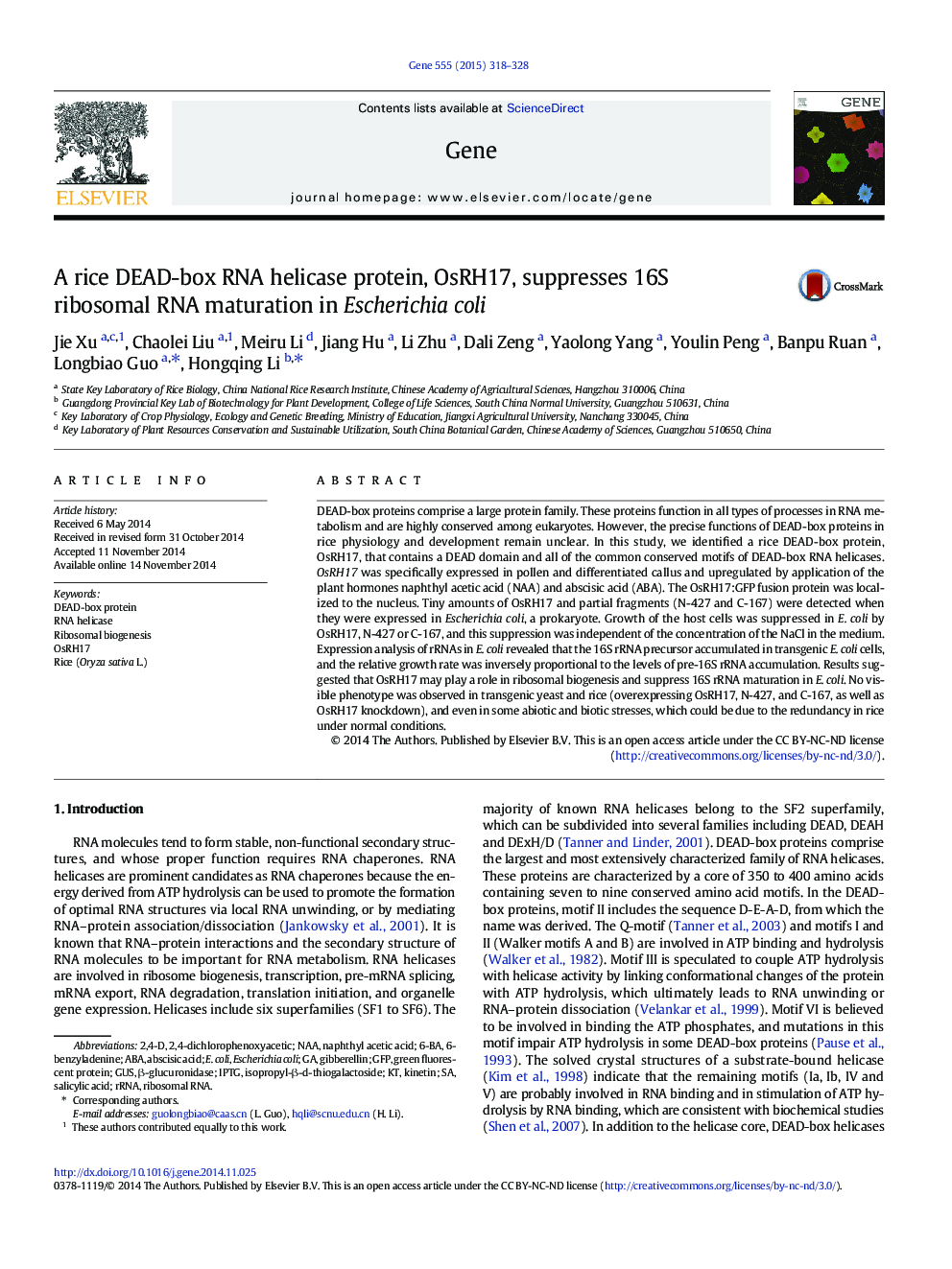 A rice DEAD-box RNA helicase protein, OsRH17, suppresses 16S ribosomal RNA maturation in Escherichia coli