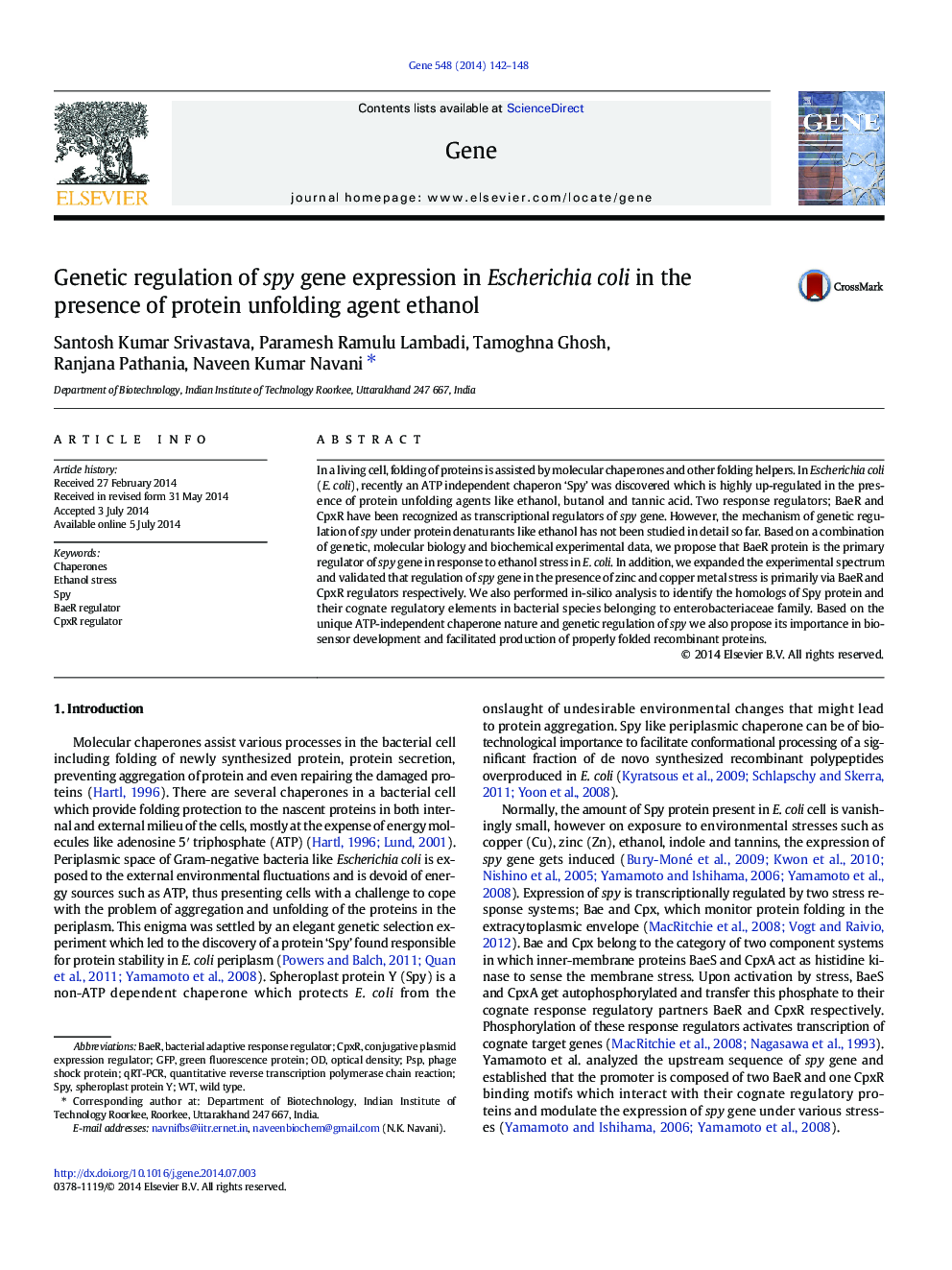 Genetic regulation of spy gene expression in Escherichia coli in the presence of protein unfolding agent ethanol