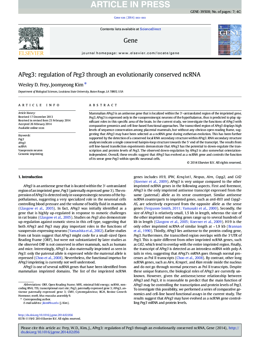 APeg3: regulation of Peg3 through an evolutionarily conserved ncRNA