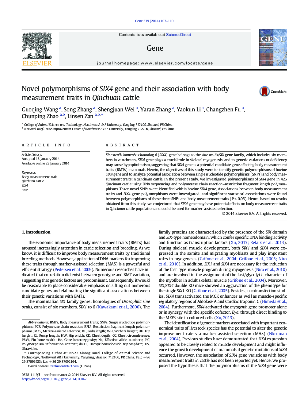 Novel polymorphisms of SIX4 gene and their association with body measurement traits in Qinchuan cattle