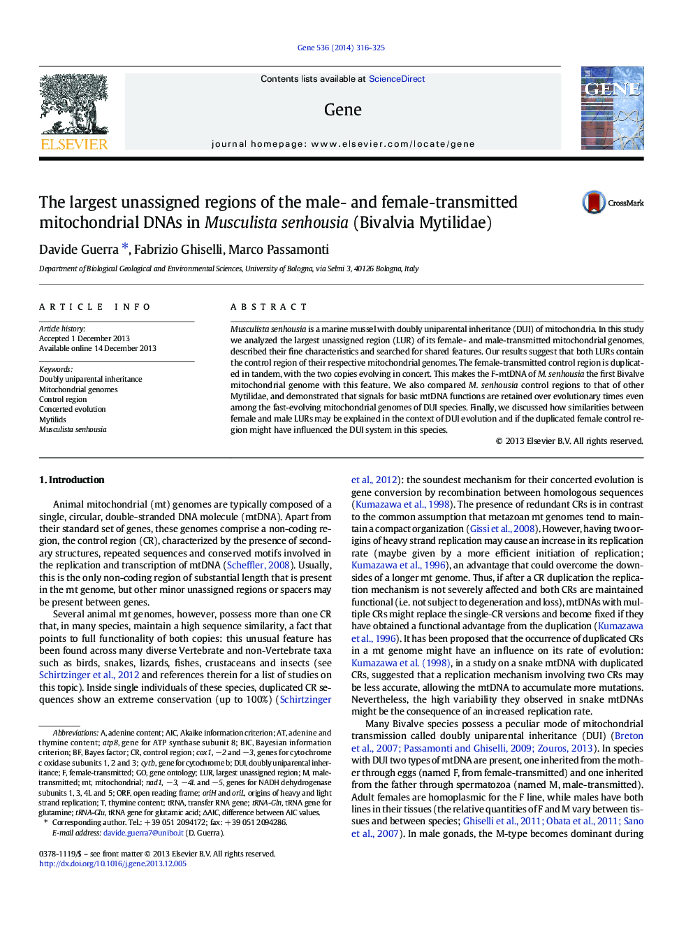 The largest unassigned regions of the male- and female-transmitted mitochondrial DNAs in Musculista senhousia (Bivalvia Mytilidae)