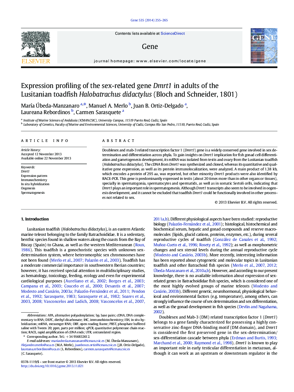 Expression profiling of the sex-related gene Dmrt1 in adults of the Lusitanian toadfish Halobatrachus didactylus (Bloch and Schneider, 1801)