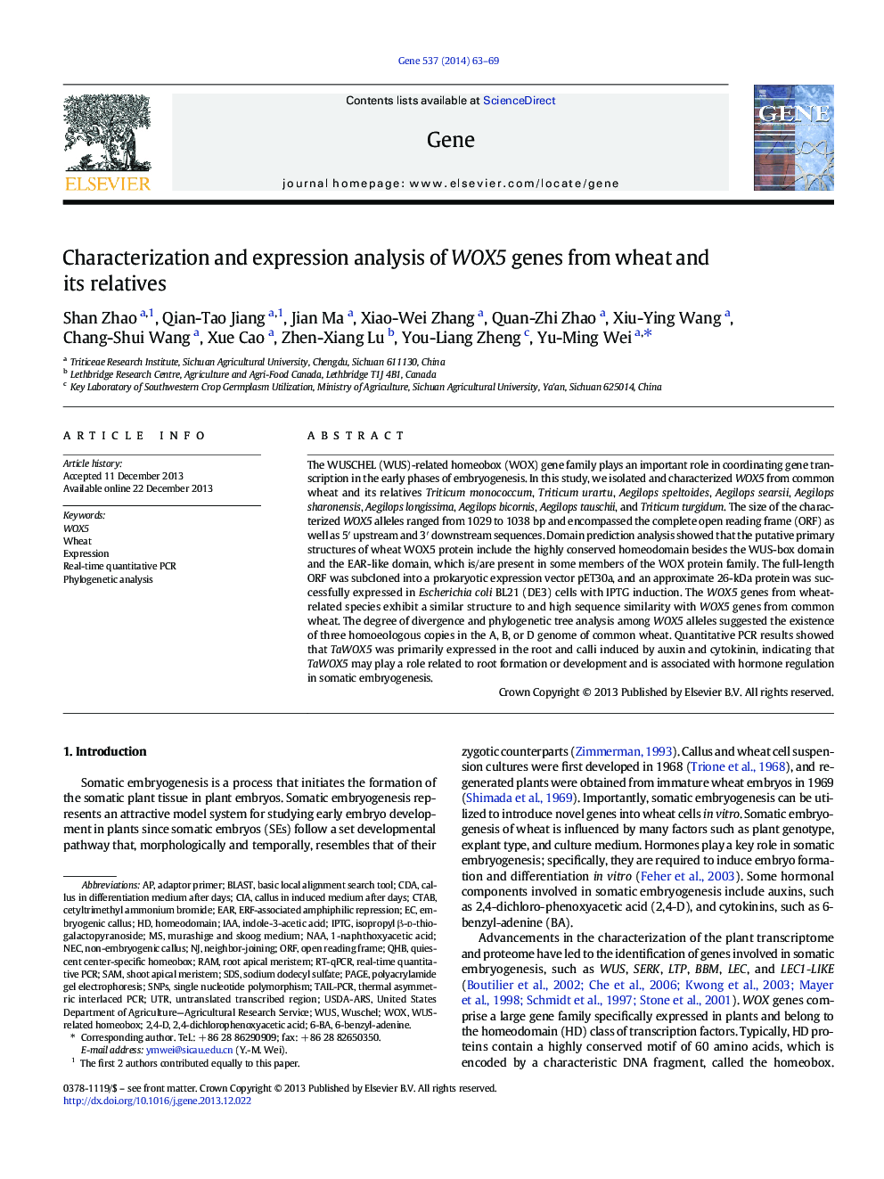 Characterization and expression analysis of WOX5 genes from wheat and its relatives