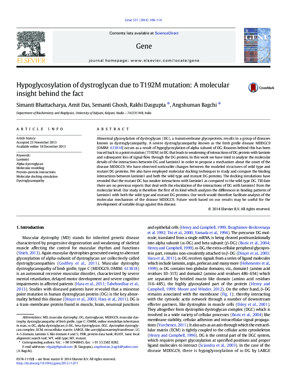 Hypoglycosylation of dystroglycan due to T192M mutation: A molecular insight behind the fact