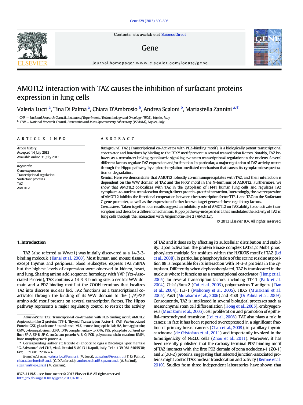 AMOTL2 interaction with TAZ causes the inhibition of surfactant proteins expression in lung cells