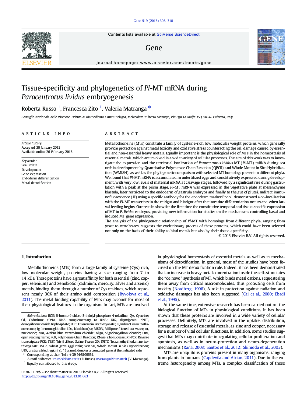 Tissue-specificity and phylogenetics of Pl-MT mRNA during Paracentrotus lividus embryogenesis