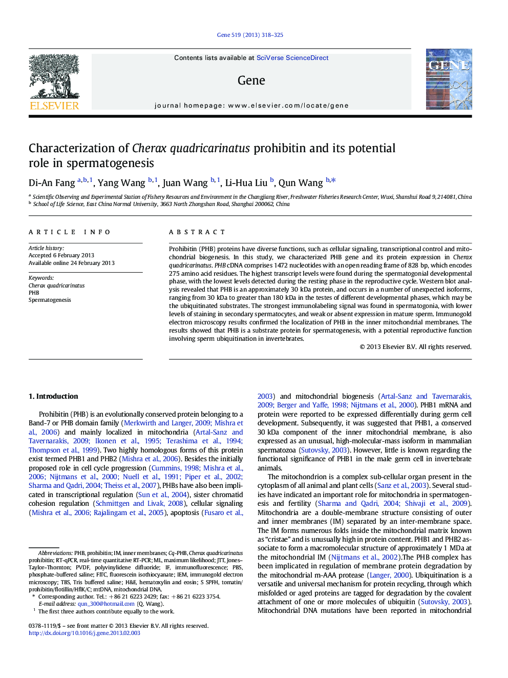 Characterization of Cherax quadricarinatus prohibitin and its potential role in spermatogenesis