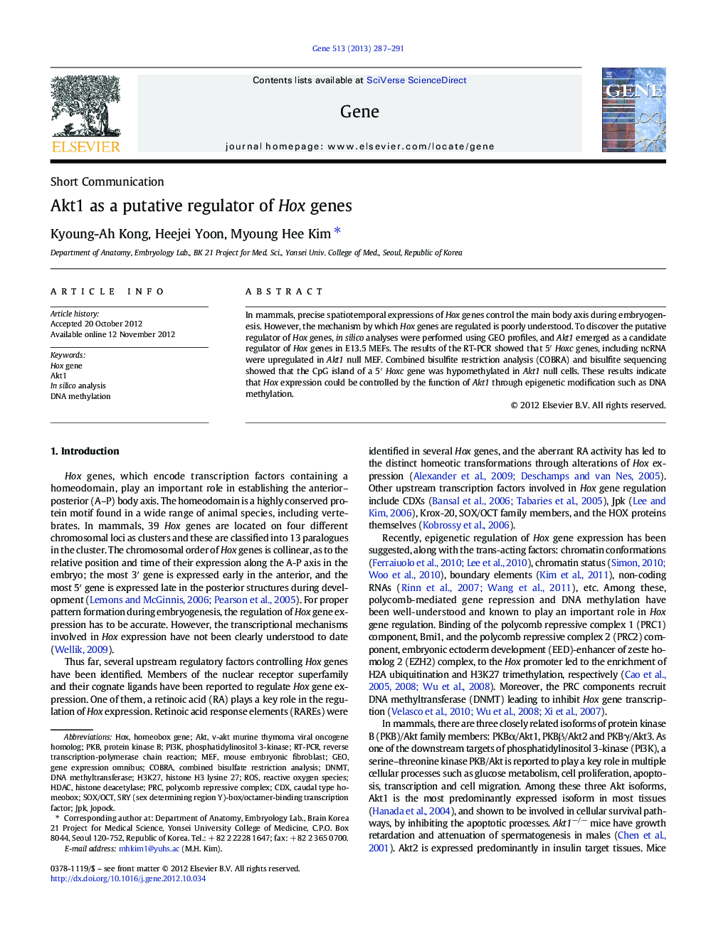 Akt1 as a putative regulator of Hox genes