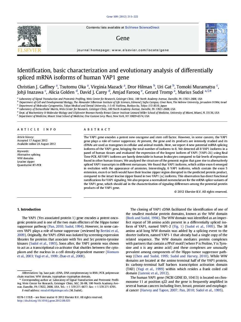 Identification, basic characterization and evolutionary analysis of differentially spliced mRNA isoforms of human YAP1 gene