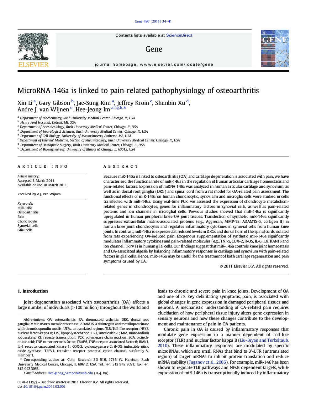 MicroRNA-146a is linked to pain-related pathophysiology of osteoarthritis