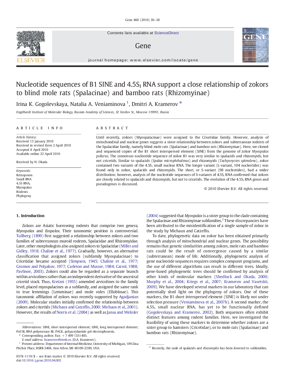 Nucleotide sequences of B1 SINE and 4.5SI RNA support a close relationship of zokors to blind mole rats (Spalacinae) and bamboo rats (Rhizomyinae)