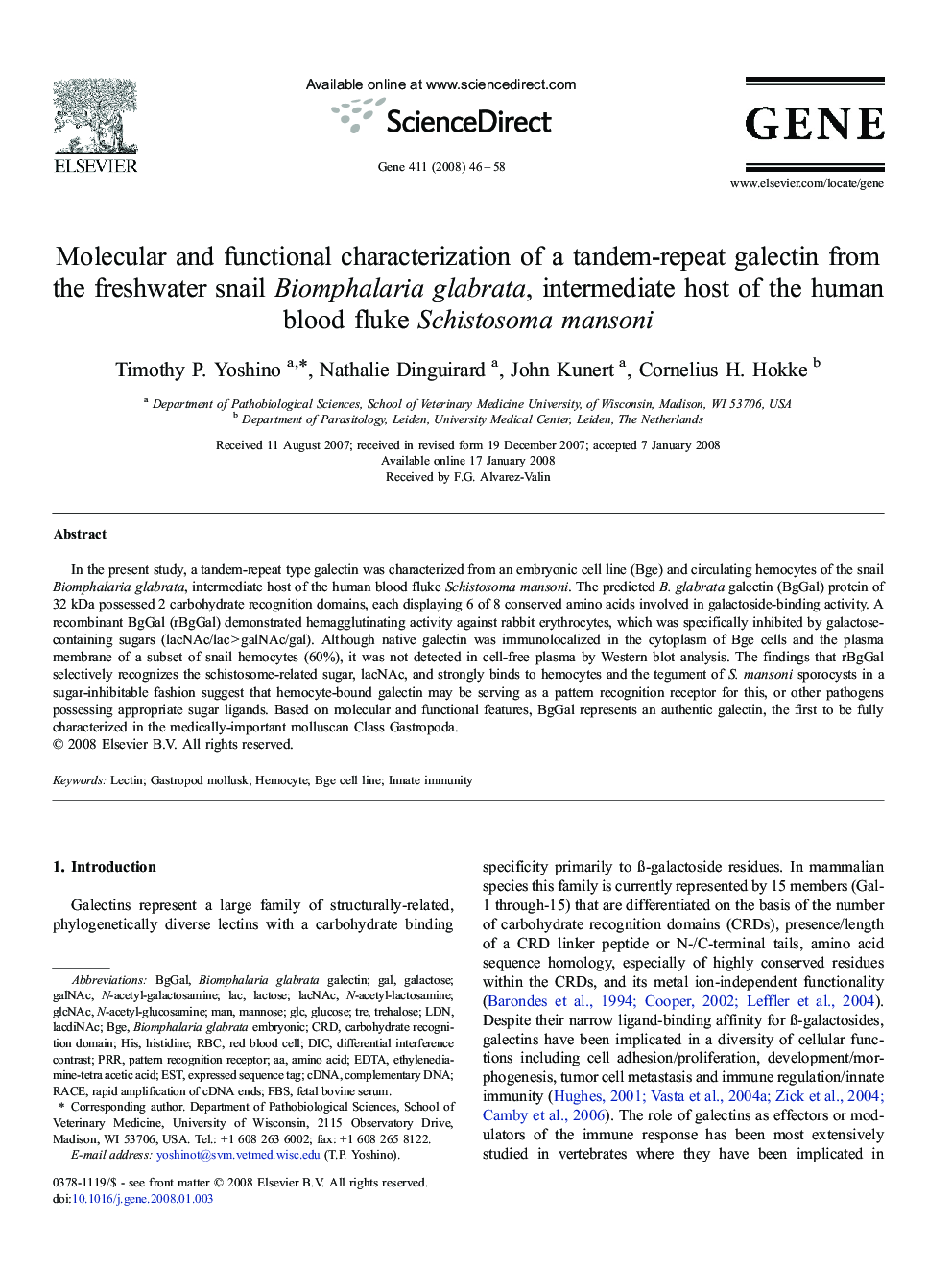 Molecular and functional characterization of a tandem-repeat galectin from the freshwater snail Biomphalaria glabrata, intermediate host of the human blood fluke Schistosoma mansoni