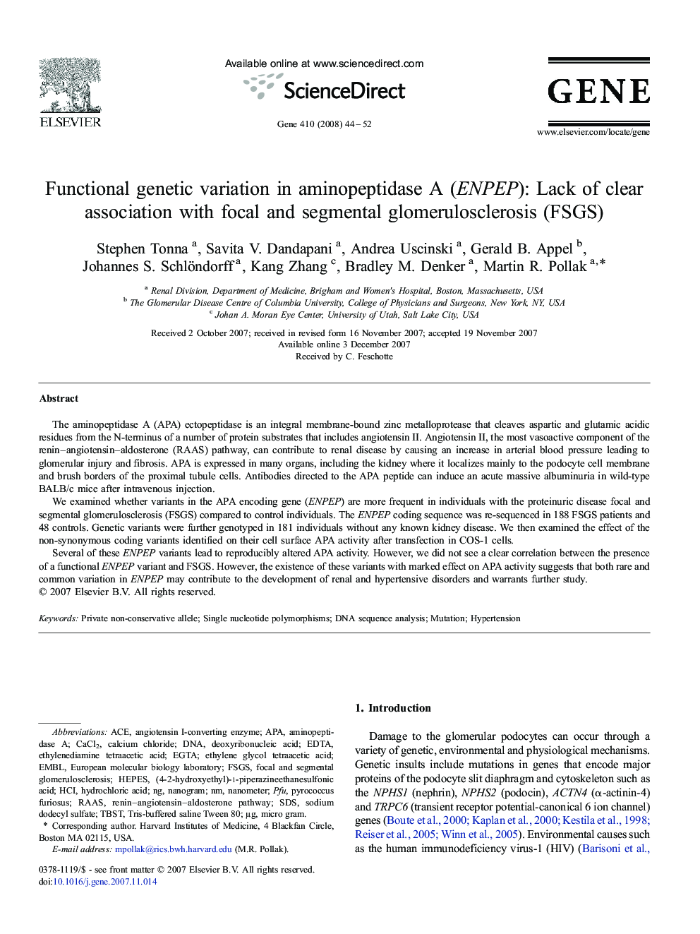 Functional genetic variation in aminopeptidase A (ENPEP): Lack of clear association with focal and segmental glomerulosclerosis (FSGS)