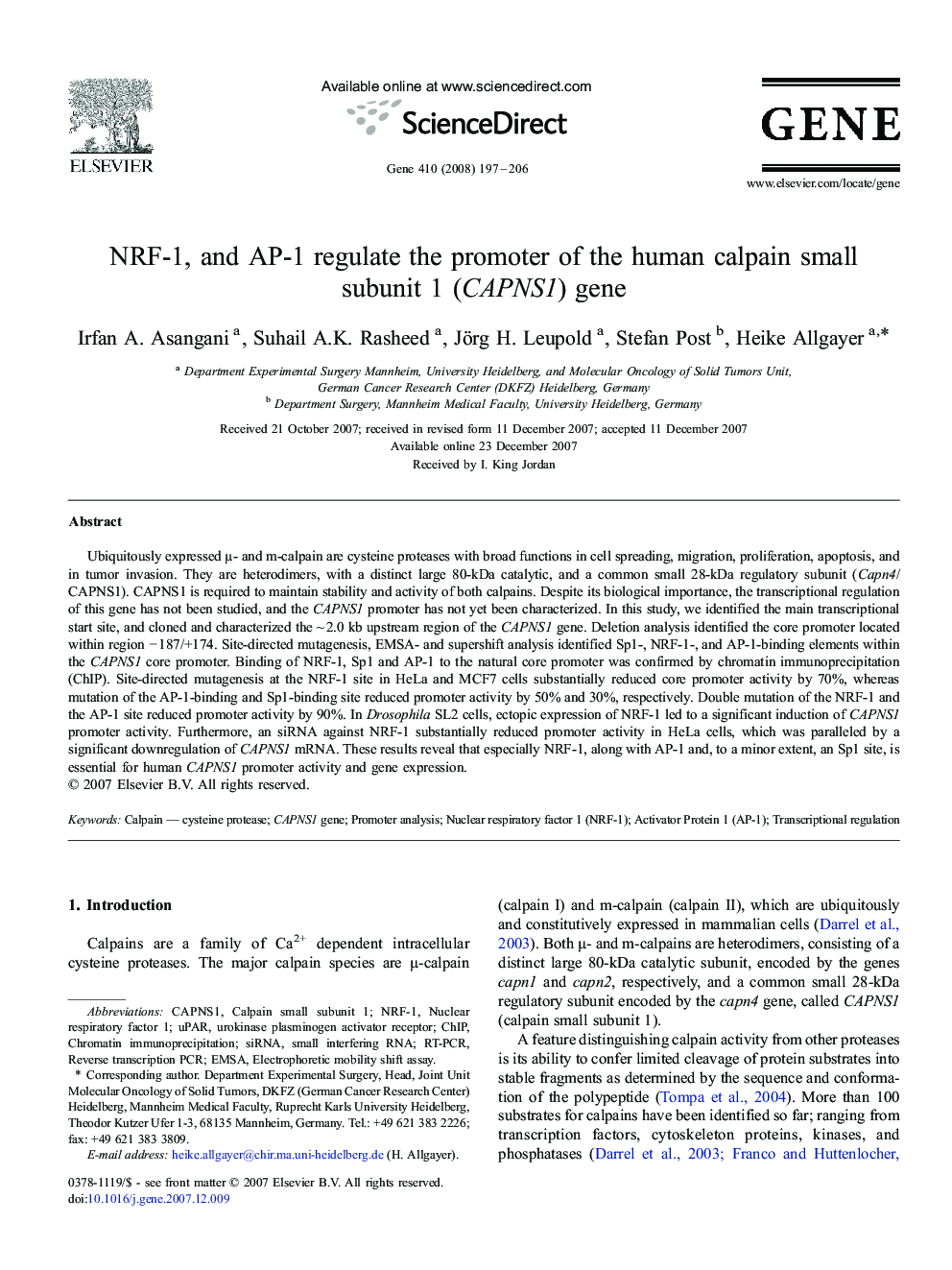 NRF-1, and AP-1 regulate the promoter of the human calpain small subunit 1 (CAPNS1) gene