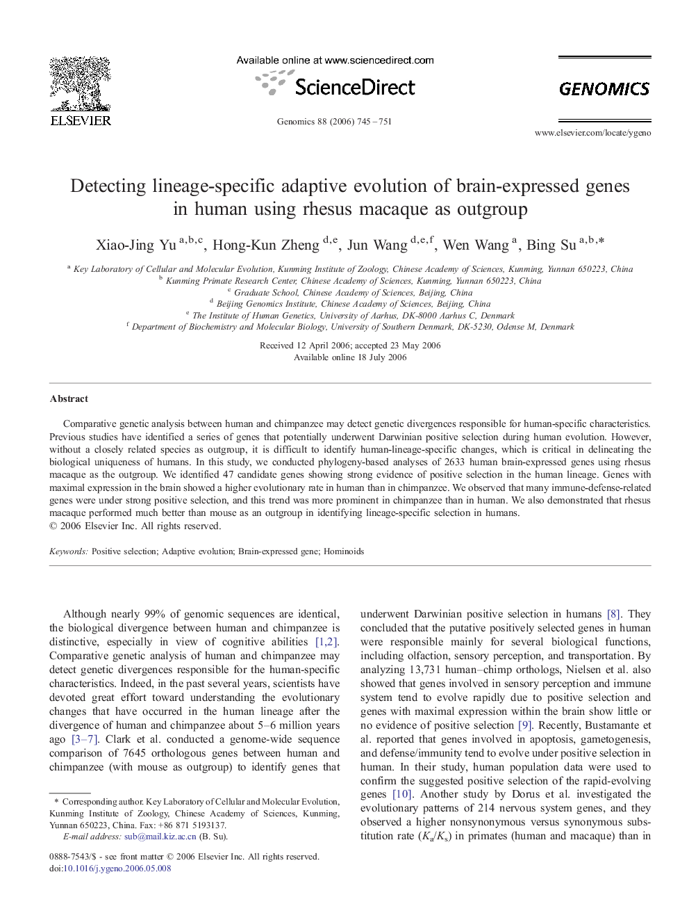 Detecting lineage-specific adaptive evolution of brain-expressed genes in human using rhesus macaque as outgroup